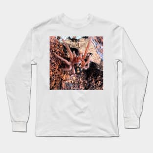 Hapalopus Colombia Pumpkin Patch Tarantula Long Sleeve T-Shirt